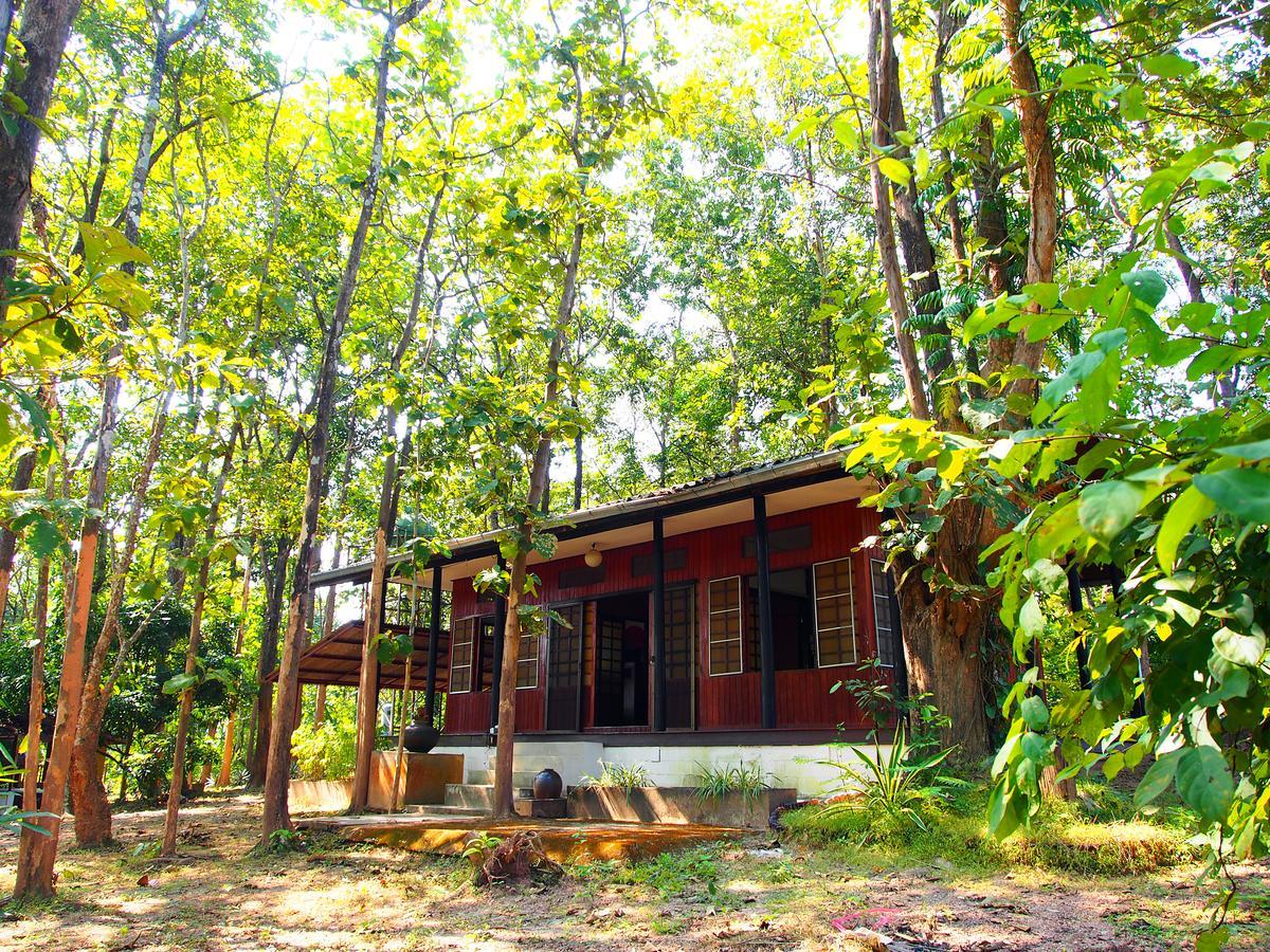 Golden Teak Homestay Mae Rim Dış mekan fotoğraf